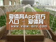 环境展示五