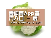 产品名称九