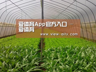 种植基地四