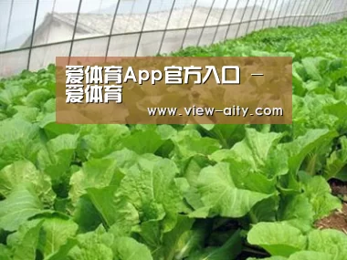 种植基地一