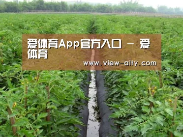 种植基地三